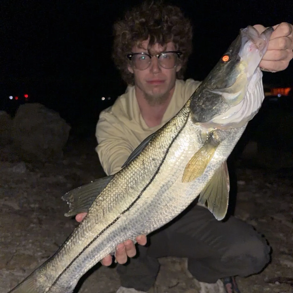 Common snook caught on Fishbrain
