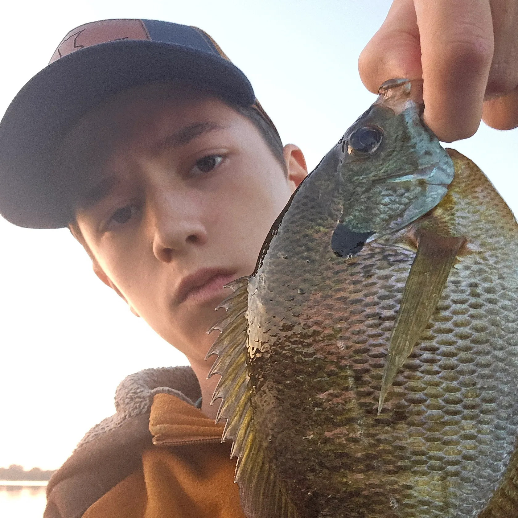 Bluegill caught on Fishbrain
