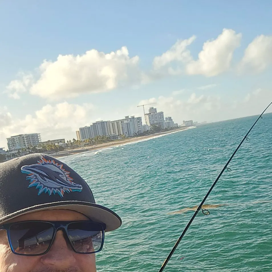 The most recent Smooth puffer catches on Fishbrain
