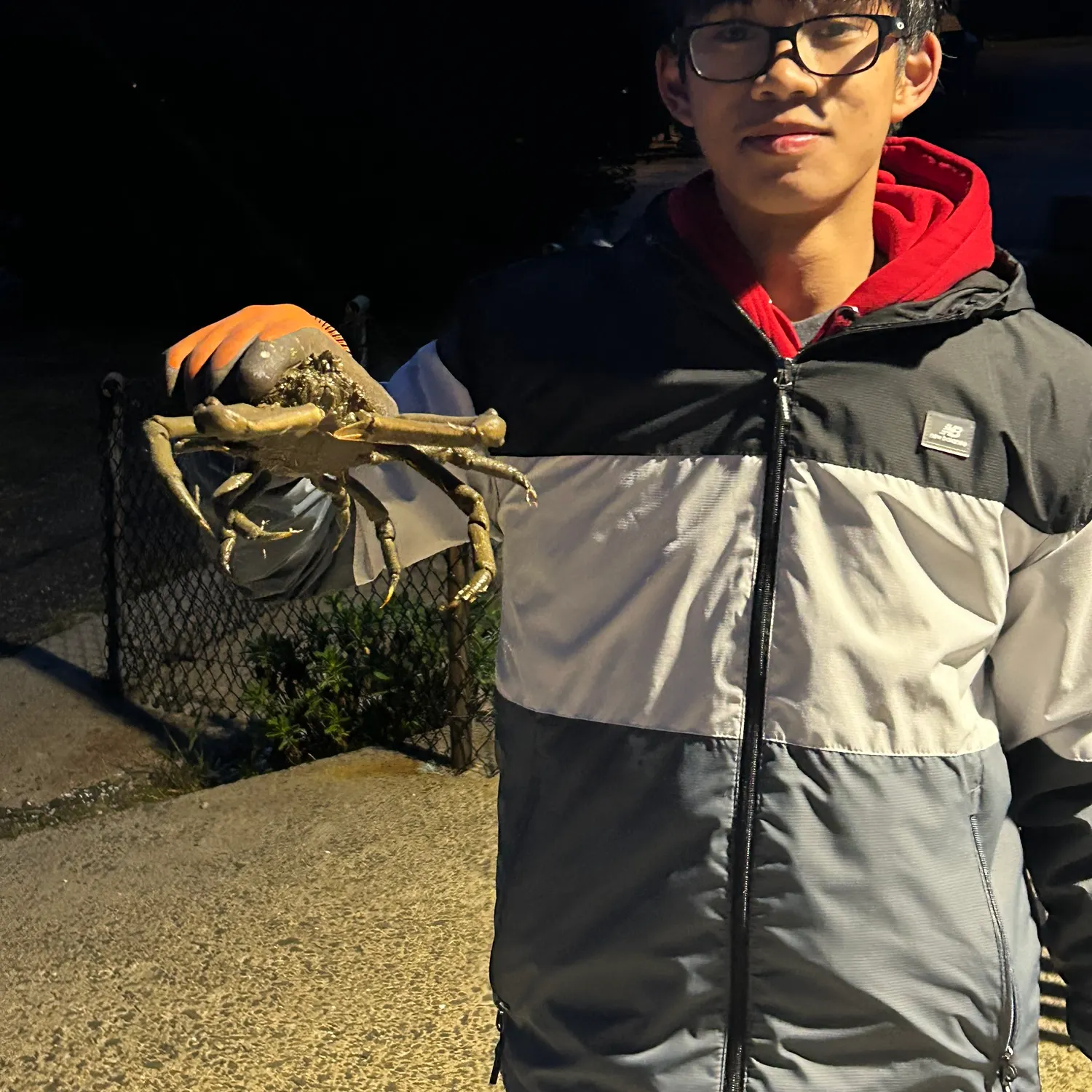 The most recent Alaskan king crab catches on Fishbrain
