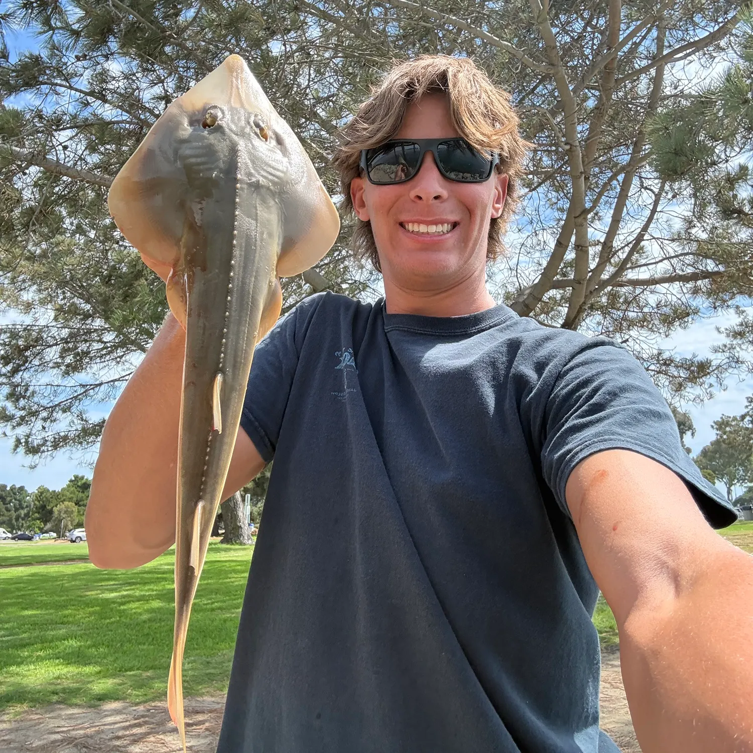 The most recent Pacific shovelnose guitarfish catches on Fishbrain