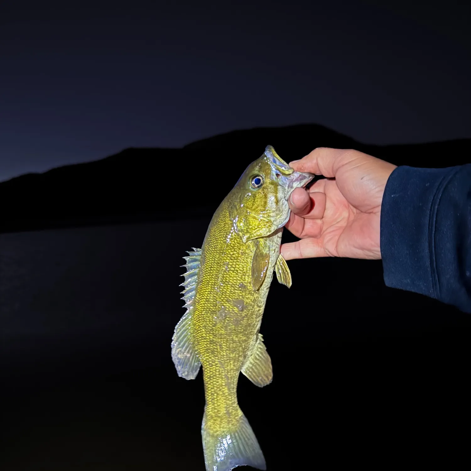 Smallmouth bass caught on Fishbrain