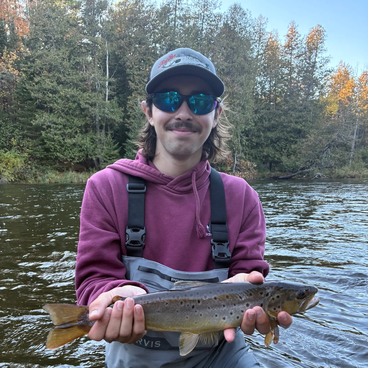 Brown trout caught on Fishbrain