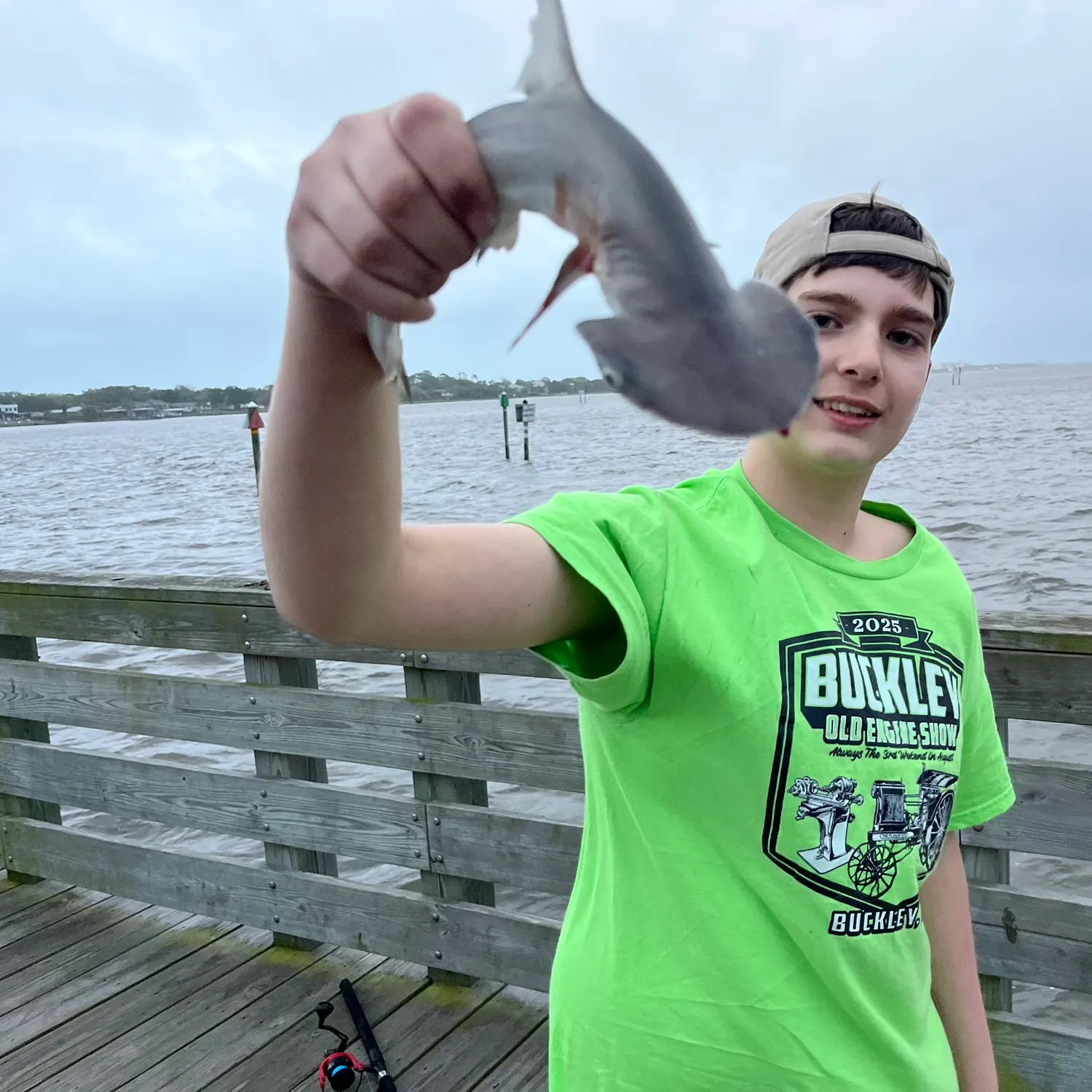 The most recent Bonnethead shark catches on Fishbrain