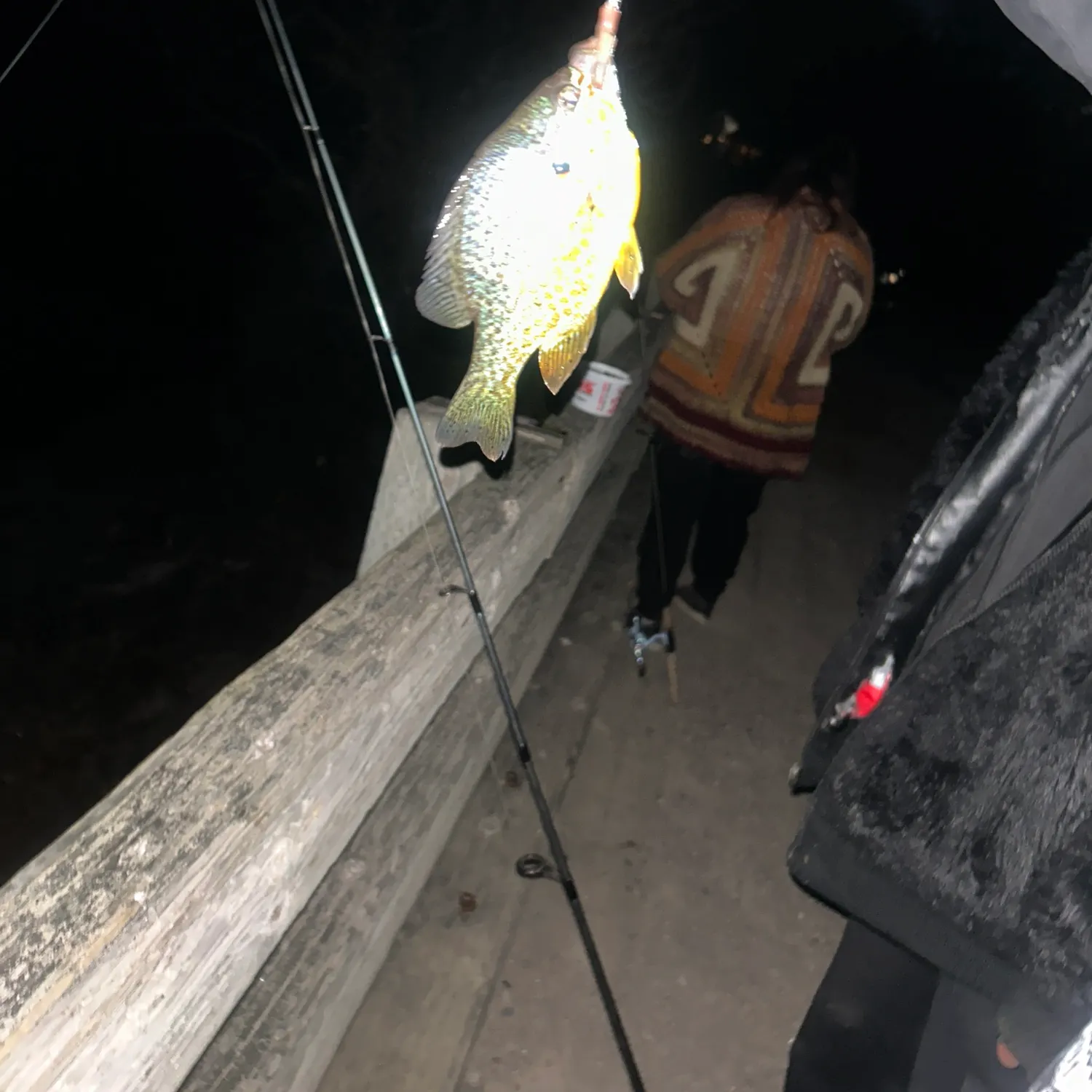 Pumpkinseed caught on Fishbrain