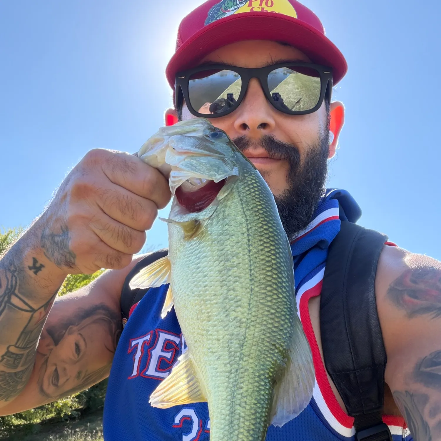 Largemouth bass caught on Fishbrain