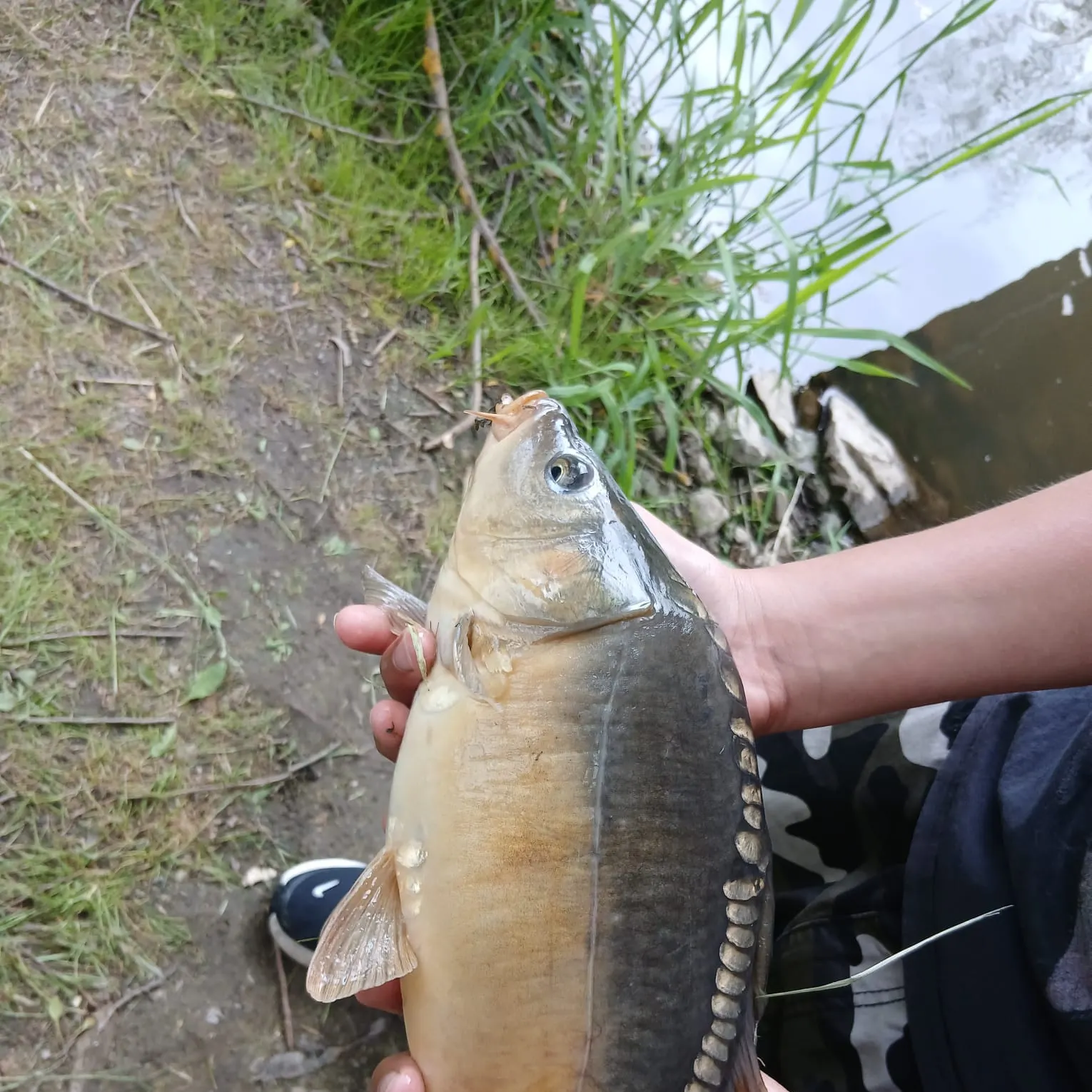 catch