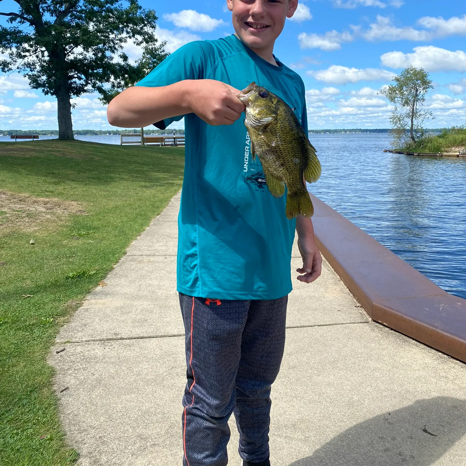 The most recent Rock bass catches on Fishbrain