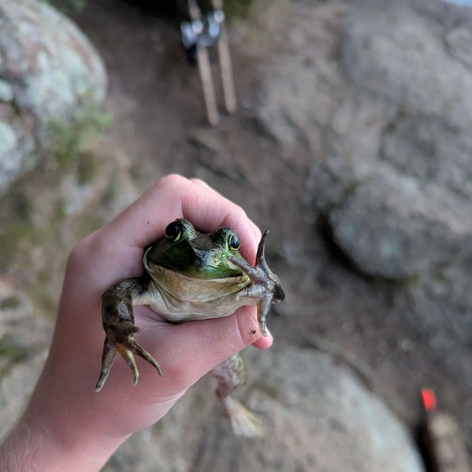 catch
