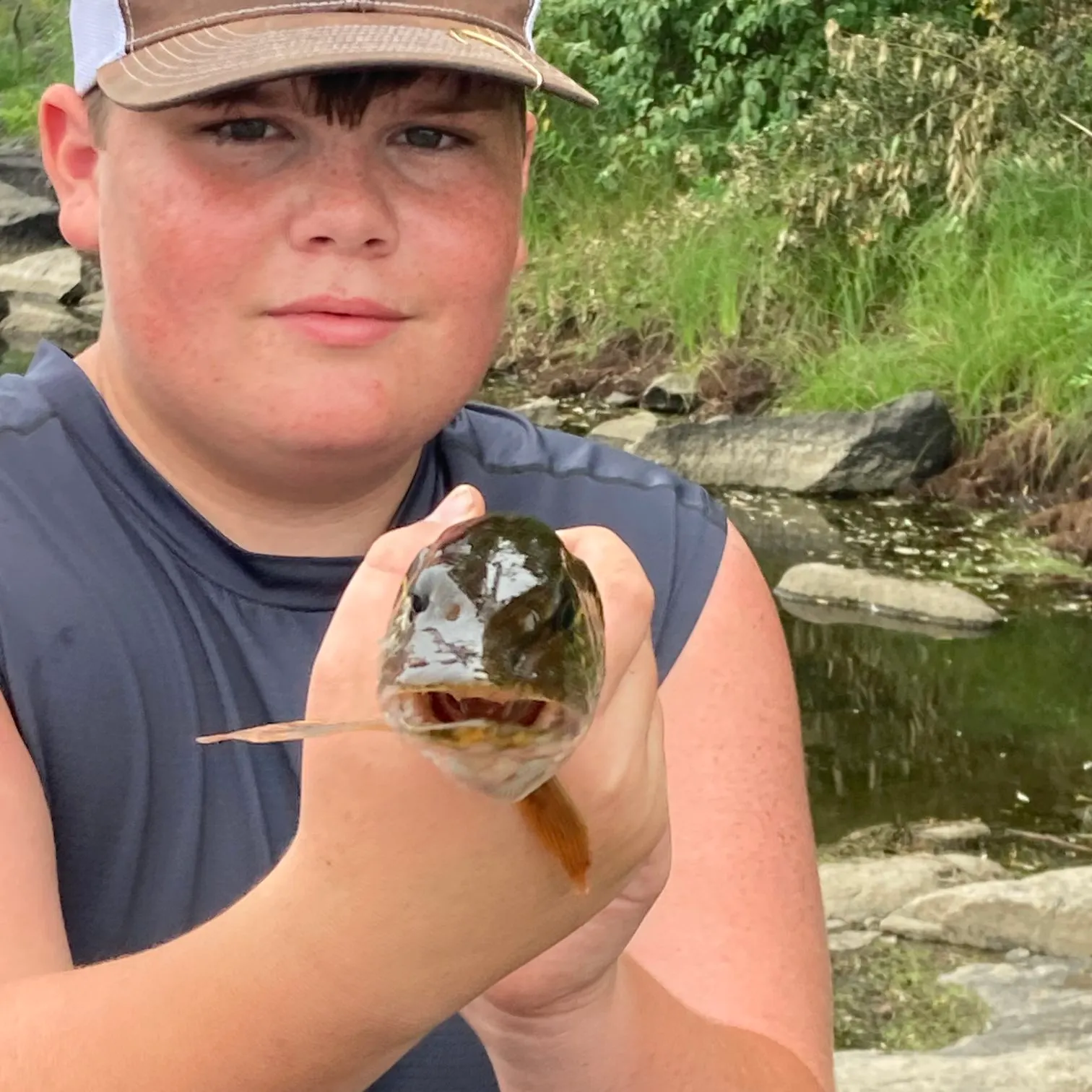 Northern pike caught on Fishbrain