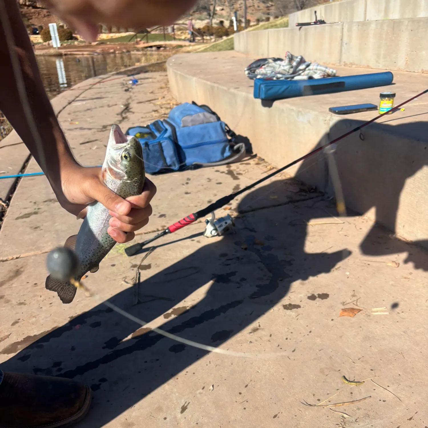 recently logged catches