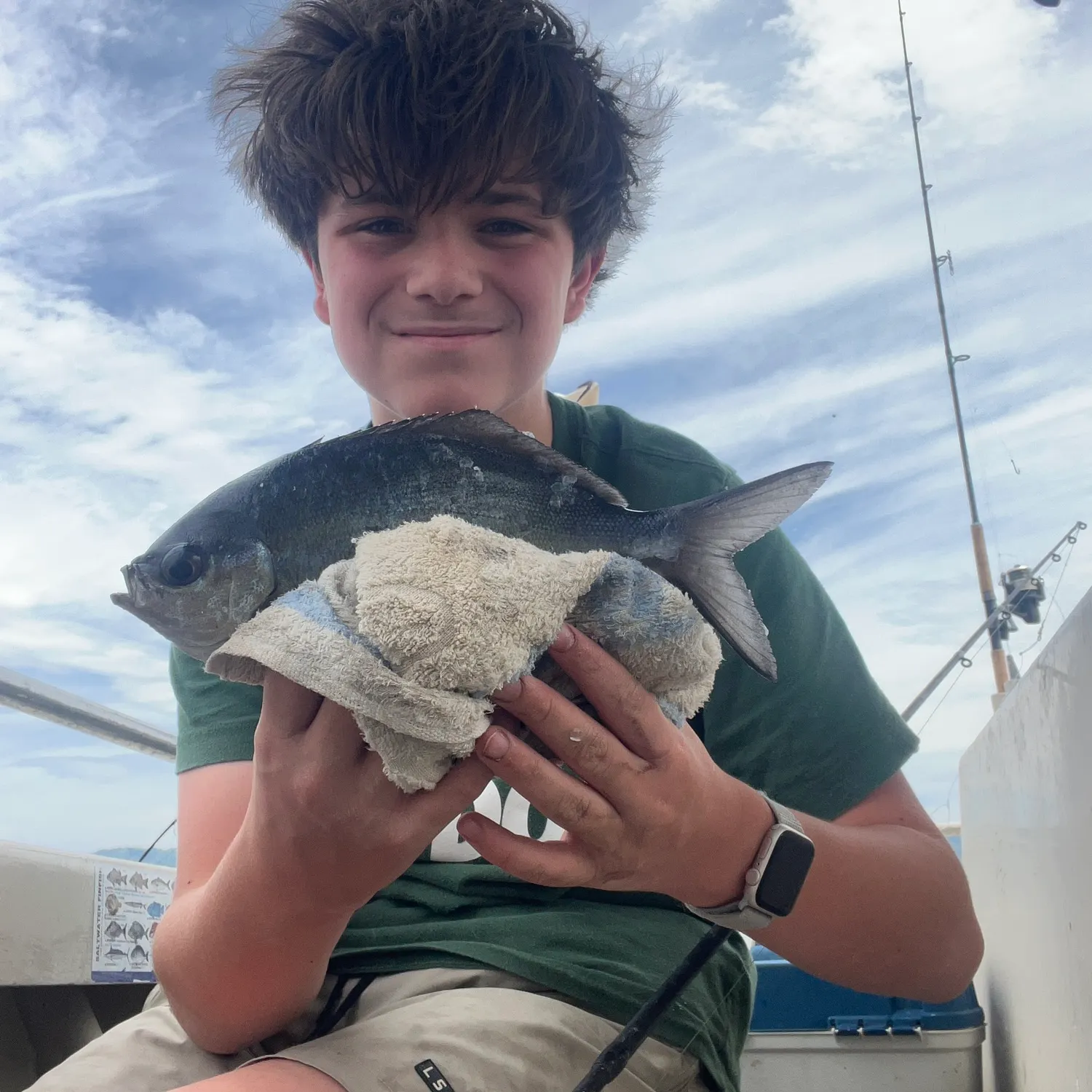 The most recent Bluenose warehou catches on Fishbrain