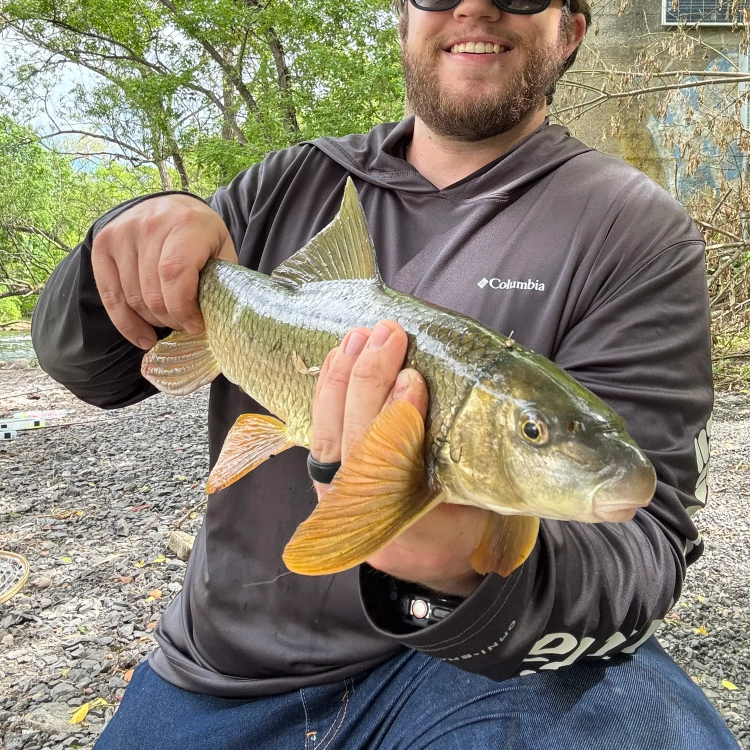 The most recent Silver redhorse catches on Fishbrain