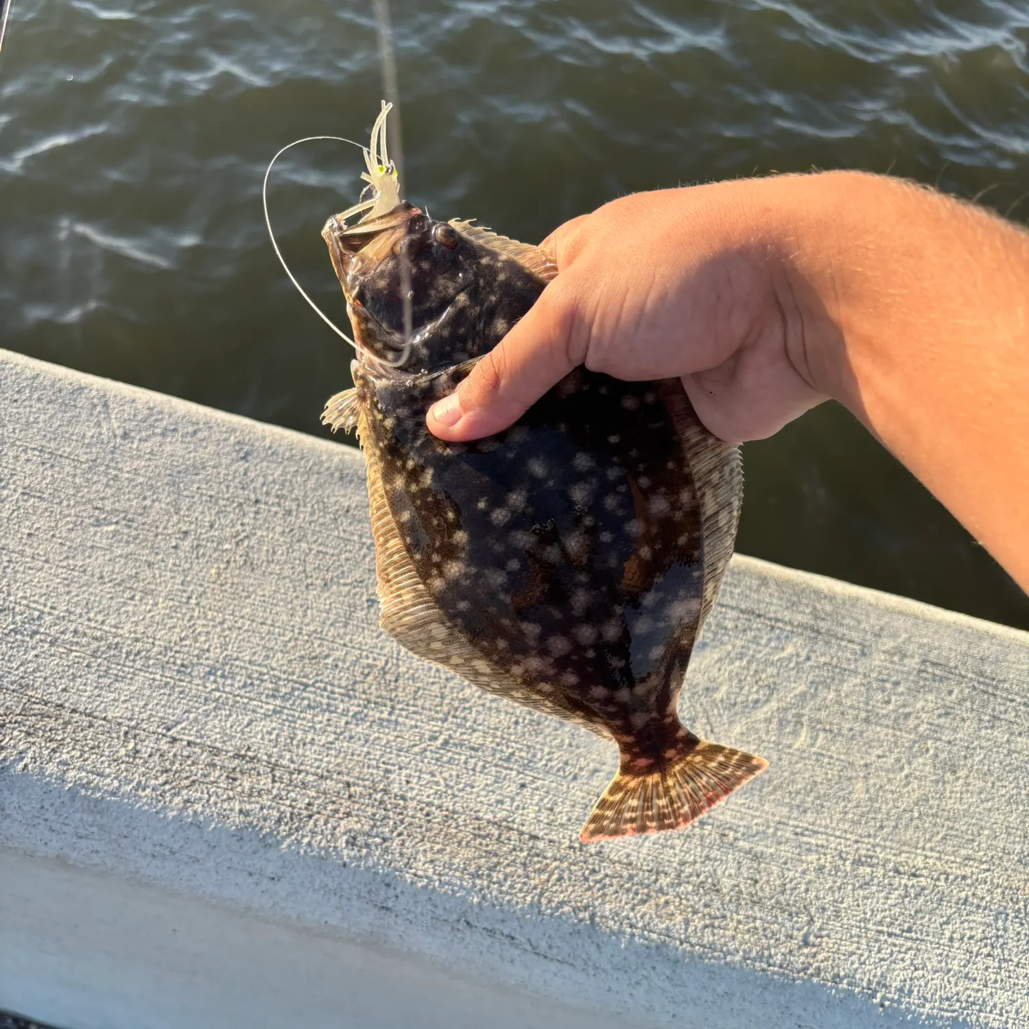 The most recent Southern flounder catches on Fishbrain