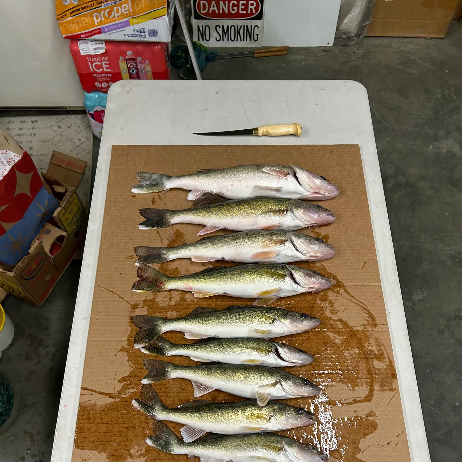 recently logged catches