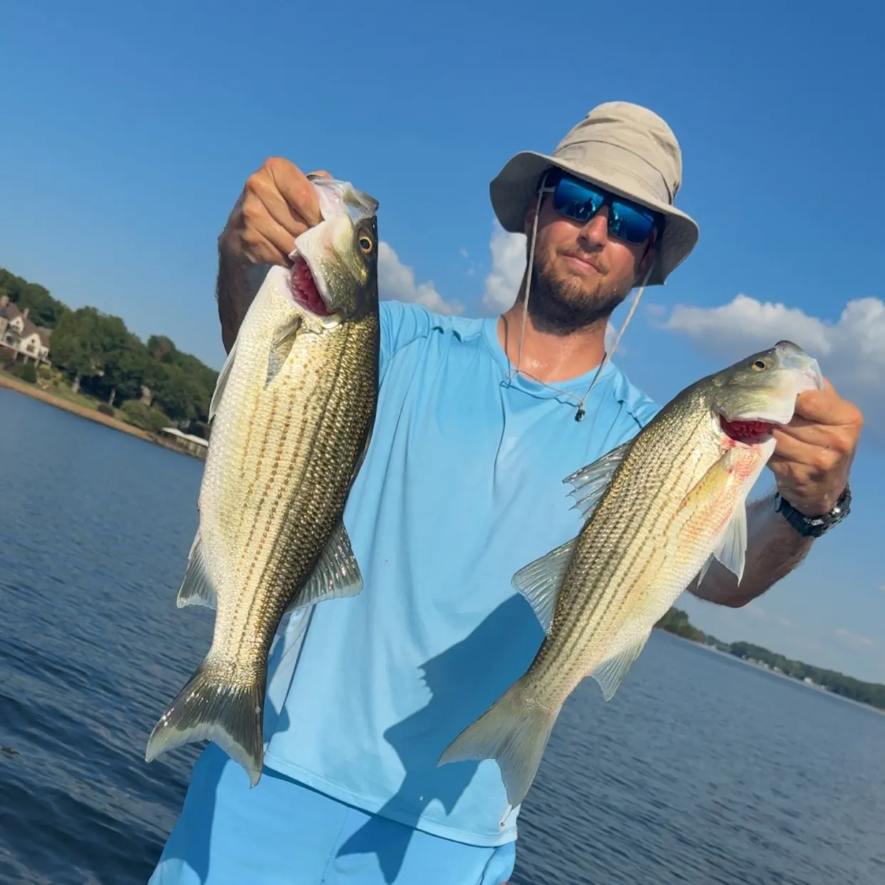 Wiper caught on Fishbrain