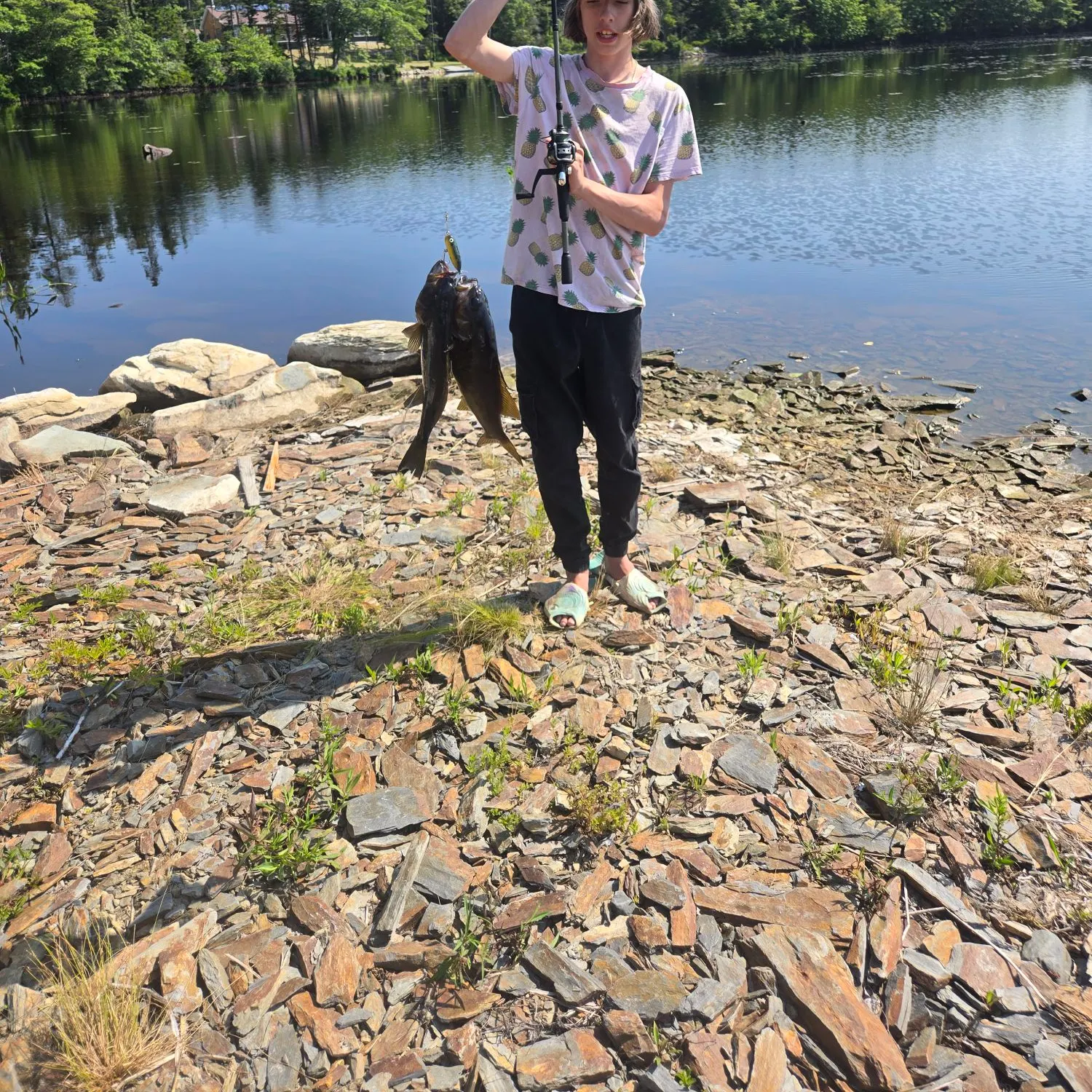 recently logged catches