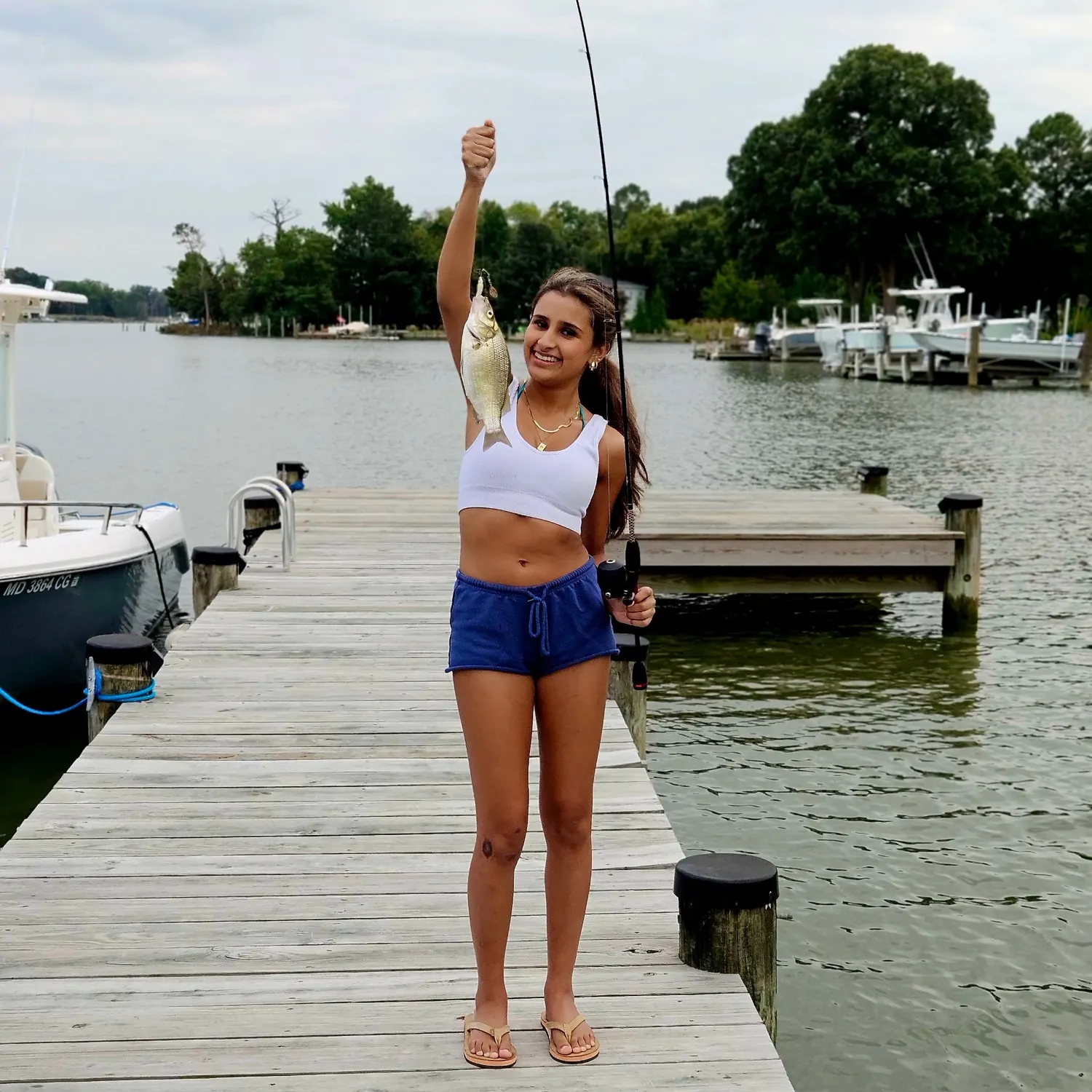 The most recent White perch catches on Fishbrain