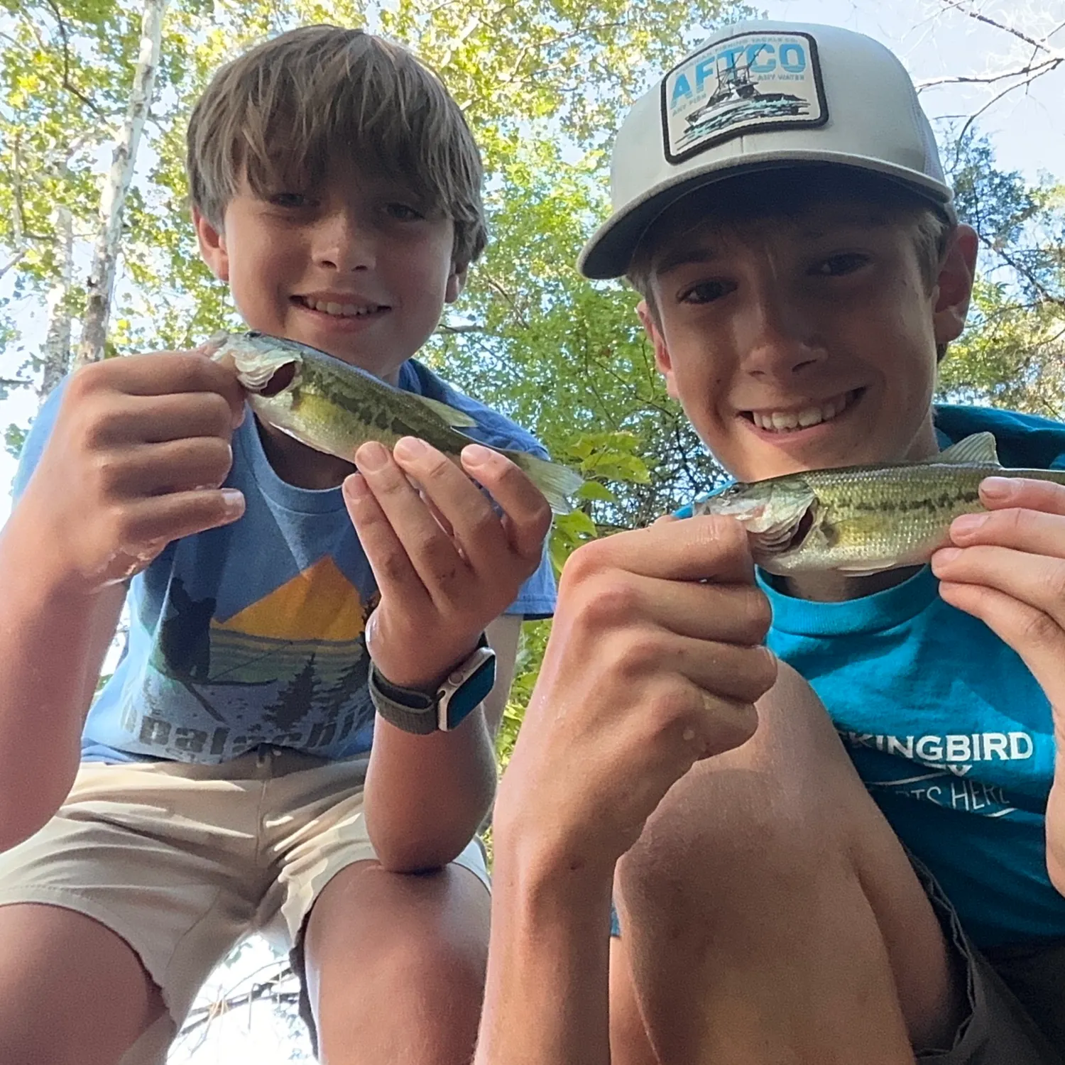 Spotted bass caught on Fishbrain