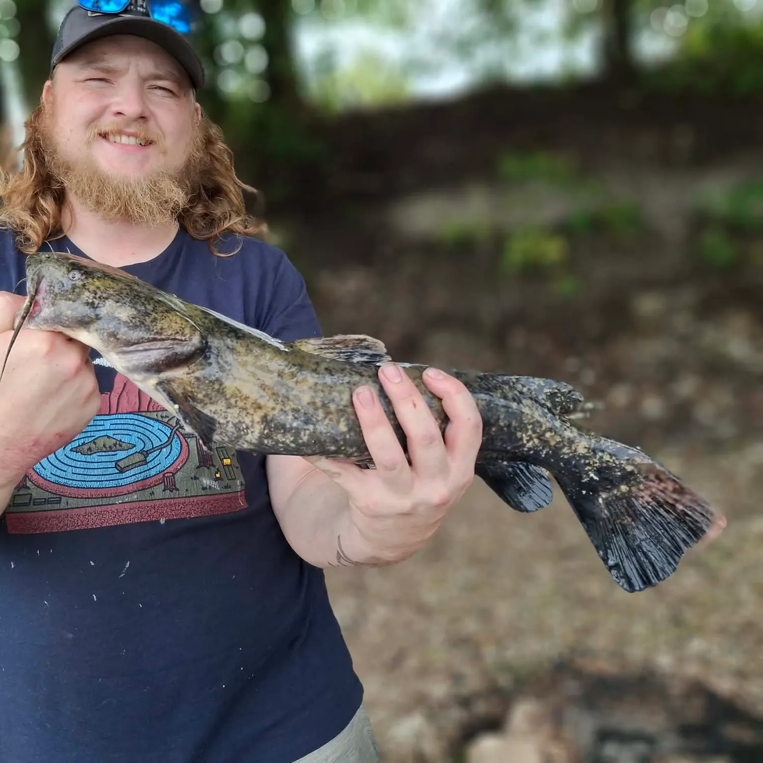 Flathead catfish caught on Fishbrain