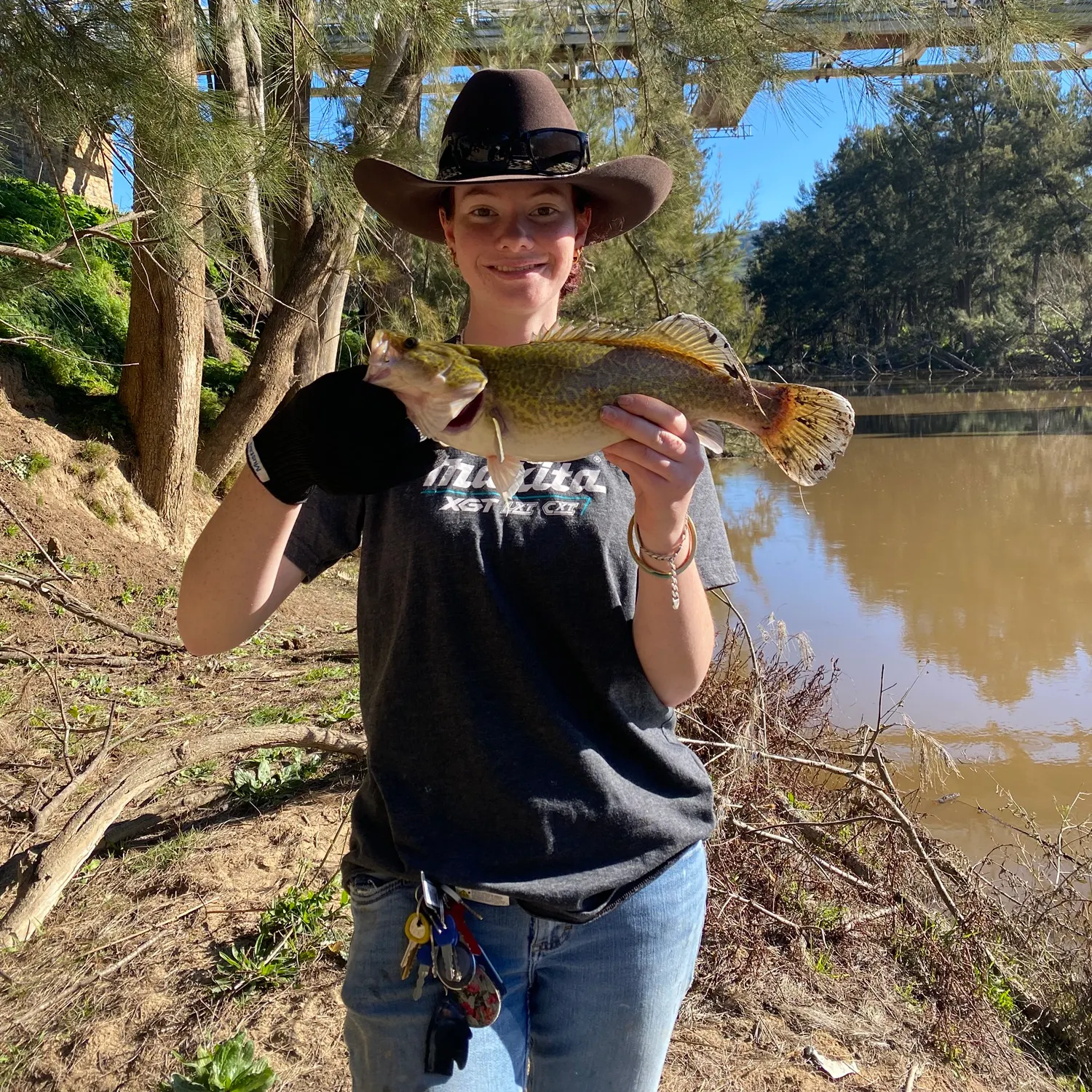 Murray cod caught on Fishbrain