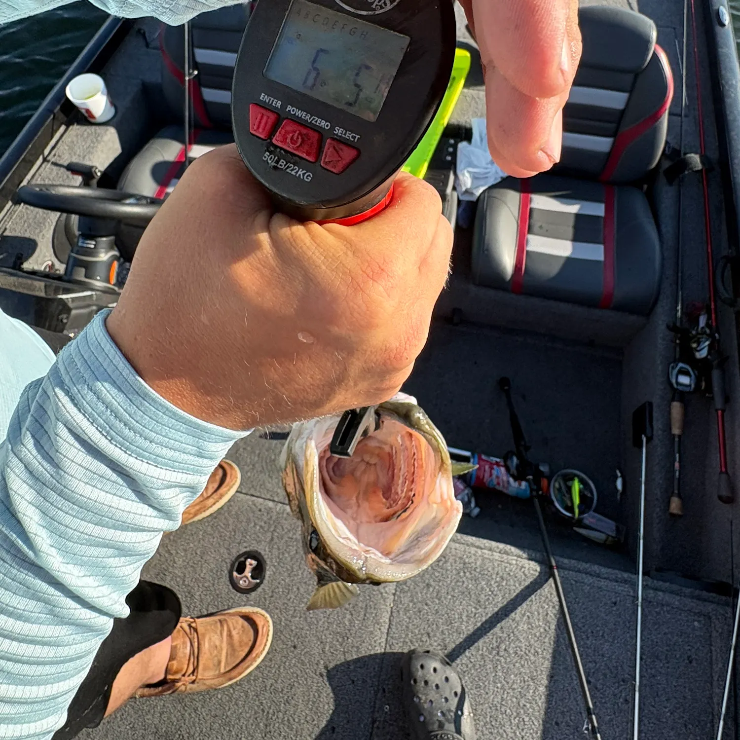 Largemouth bass caught on Fishbrain