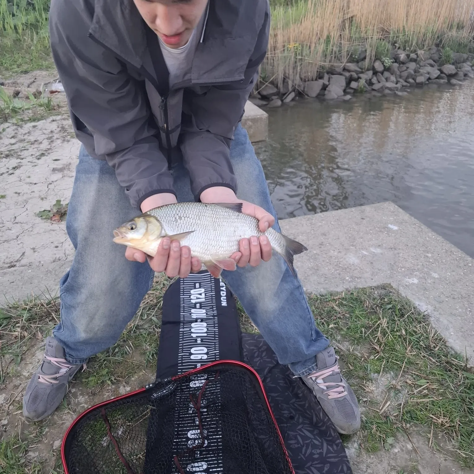 The most recent Ide catches on Fishbrain