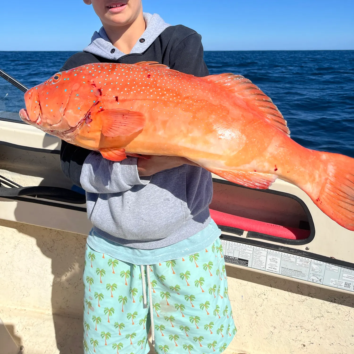 The most recent Spotted coralgrouper catches on Fishbrain