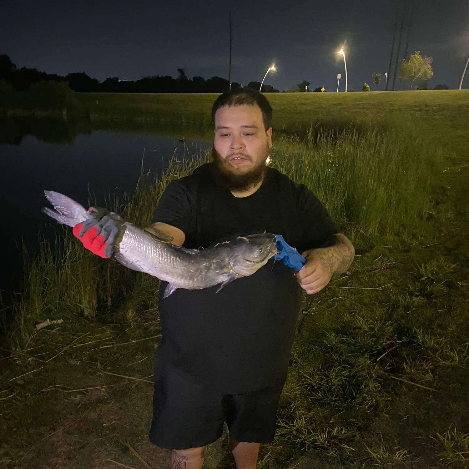 catch