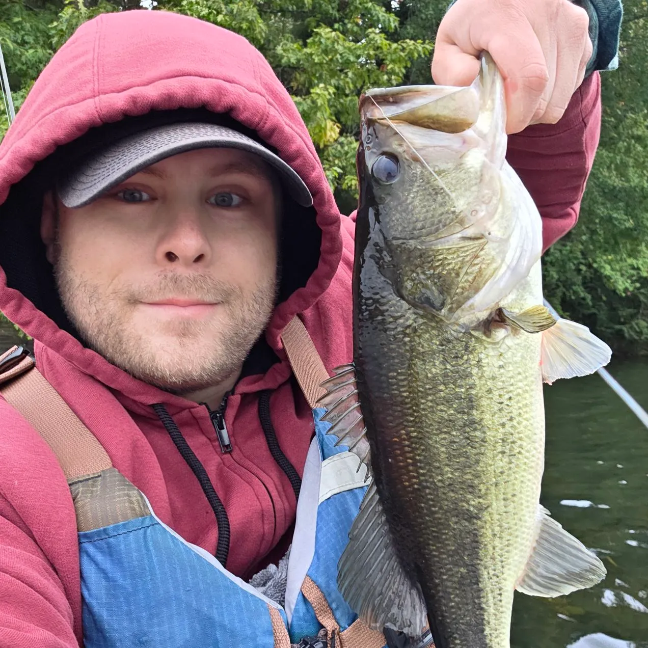 Largemouth bass caught on Fishbrain