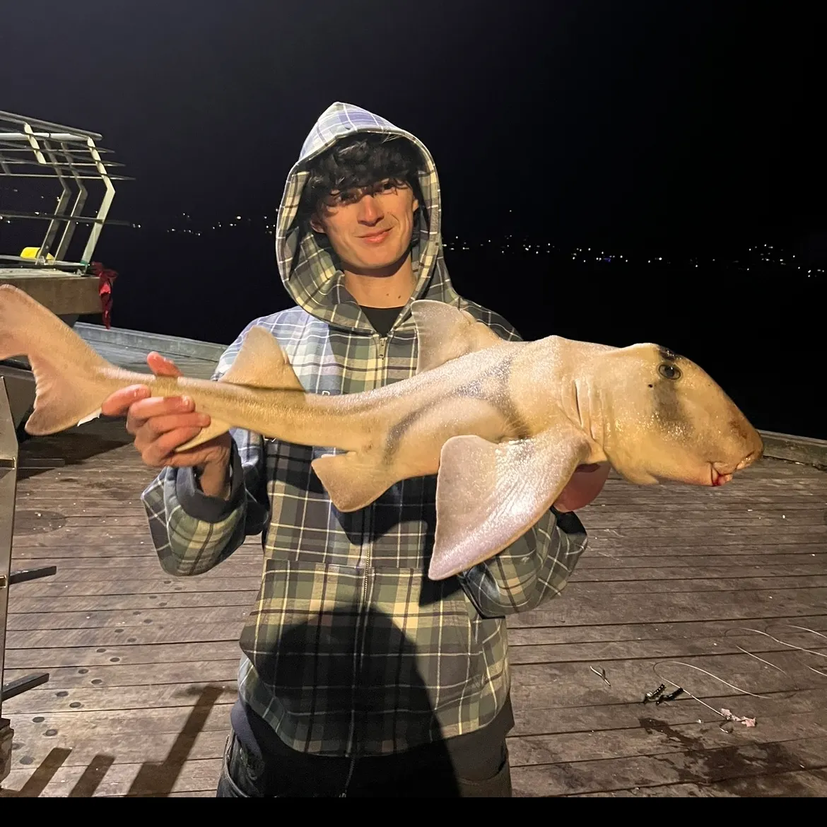 Port Jackson shark caught on Fishbrain
