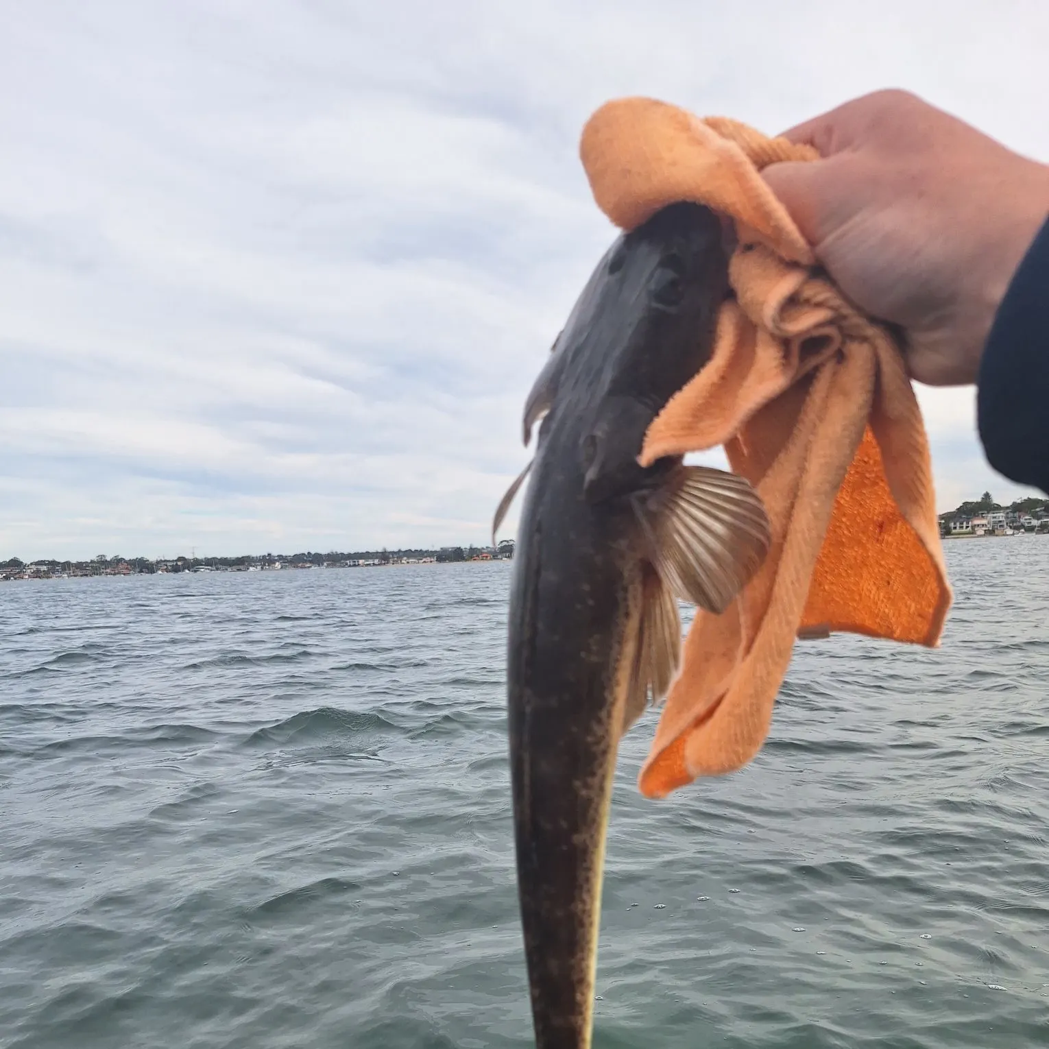 catch