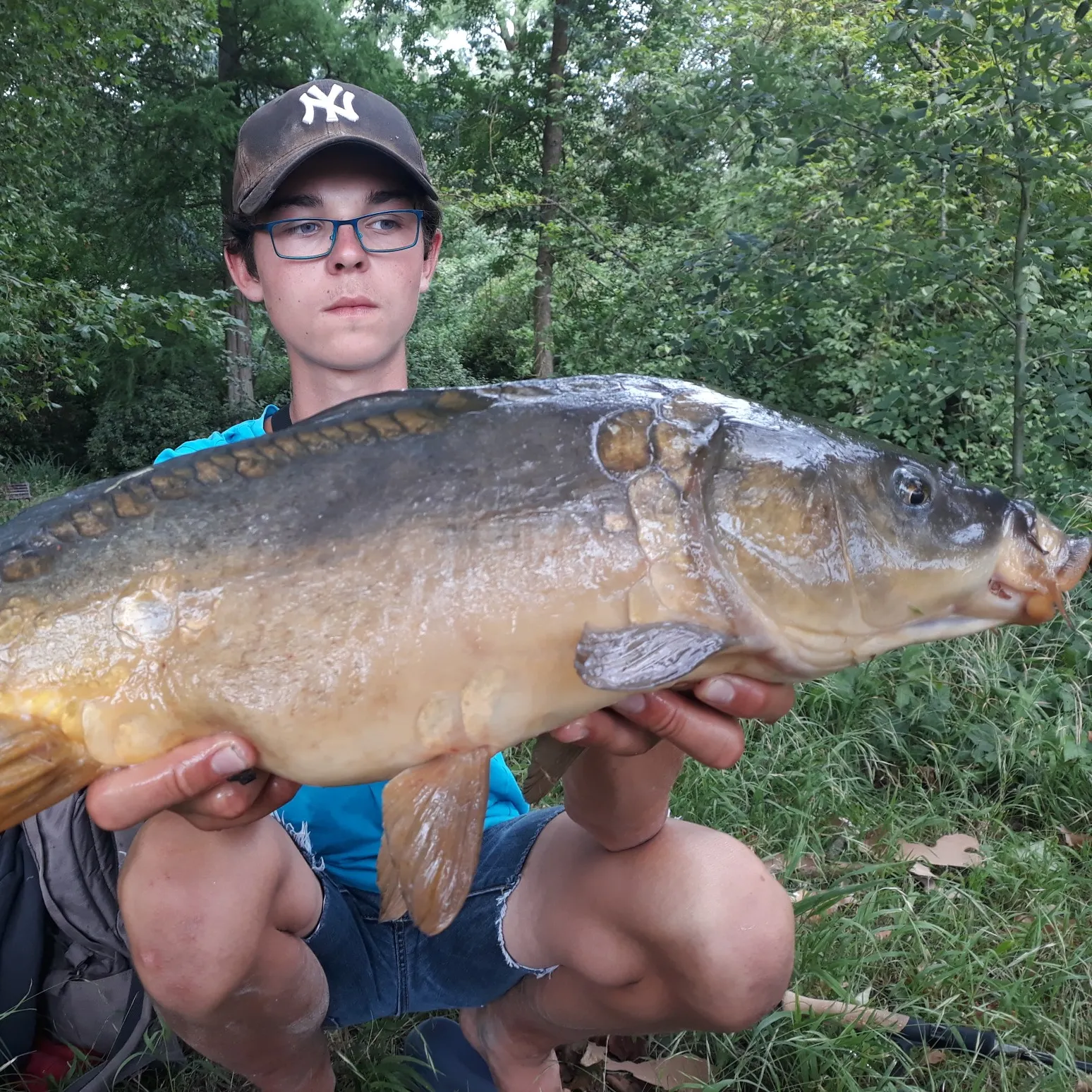 Mirror carp caught on Fishbrain