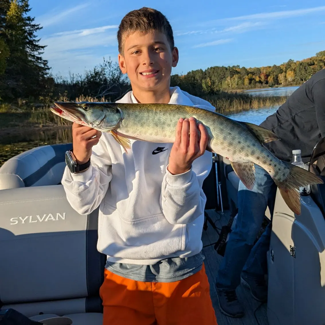 The most recent Muskie catches on Fishbrain