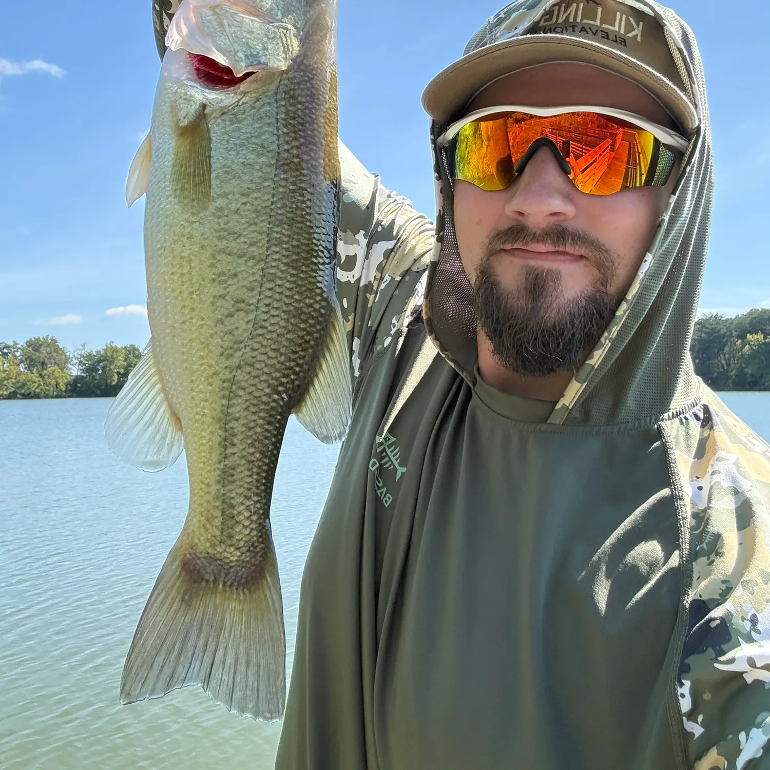 Largemouth bass caught on Fishbrain