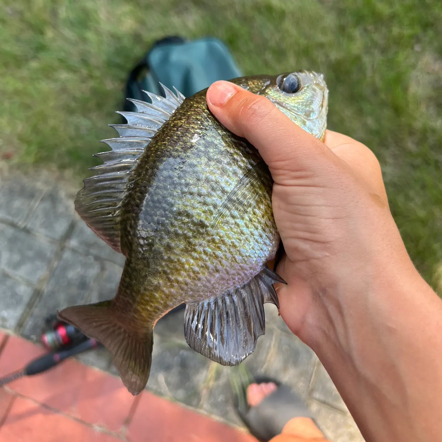 catch