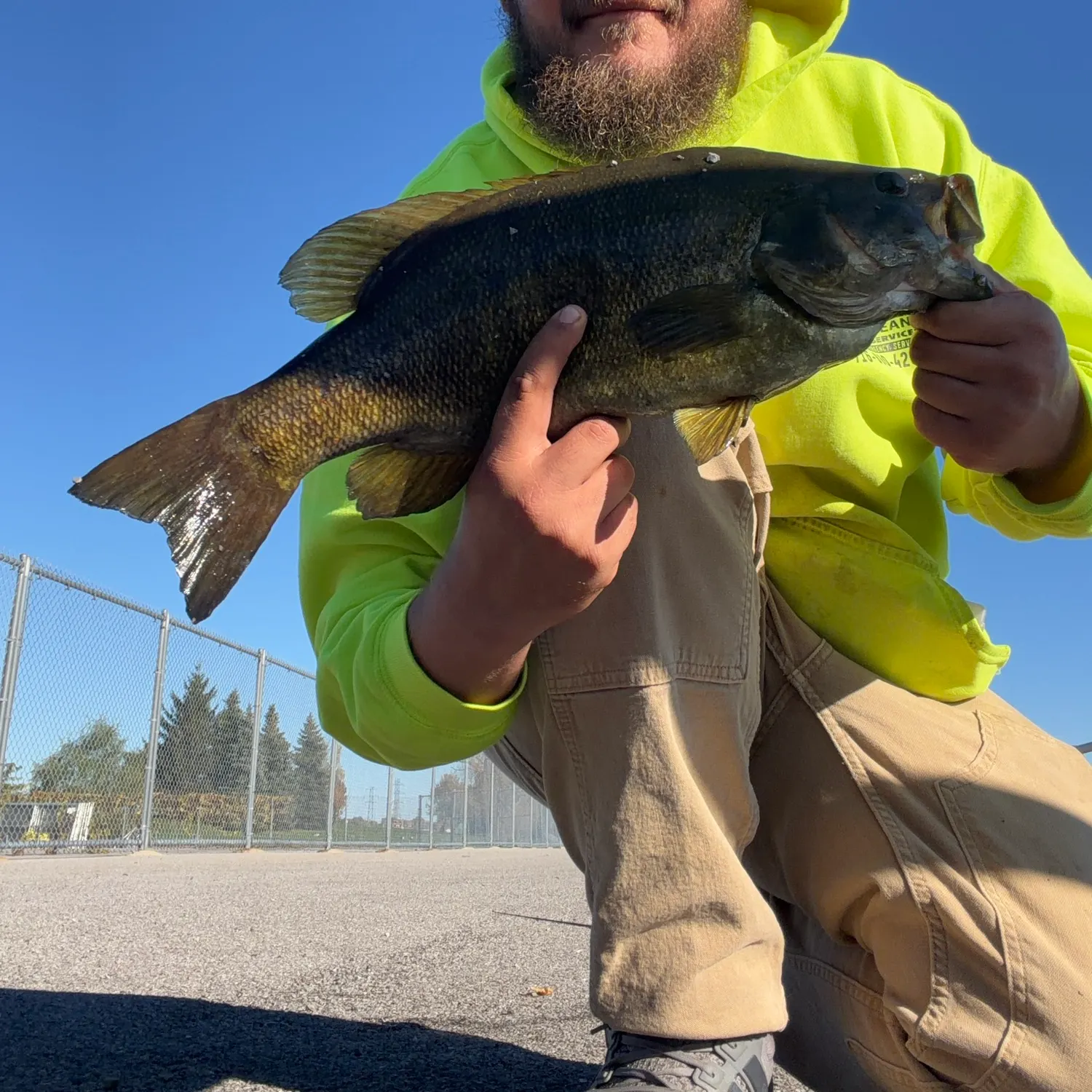Smallmouth bass caught on Fishbrain