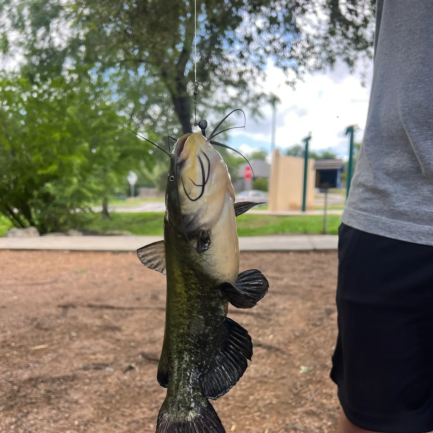 catch