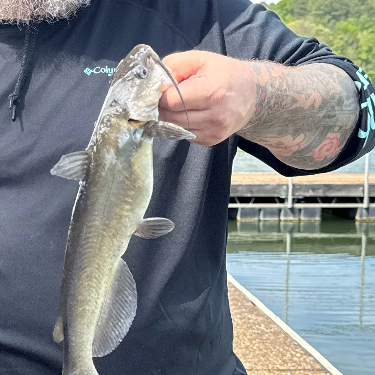 The most recent White bullhead catches on Fishbrain