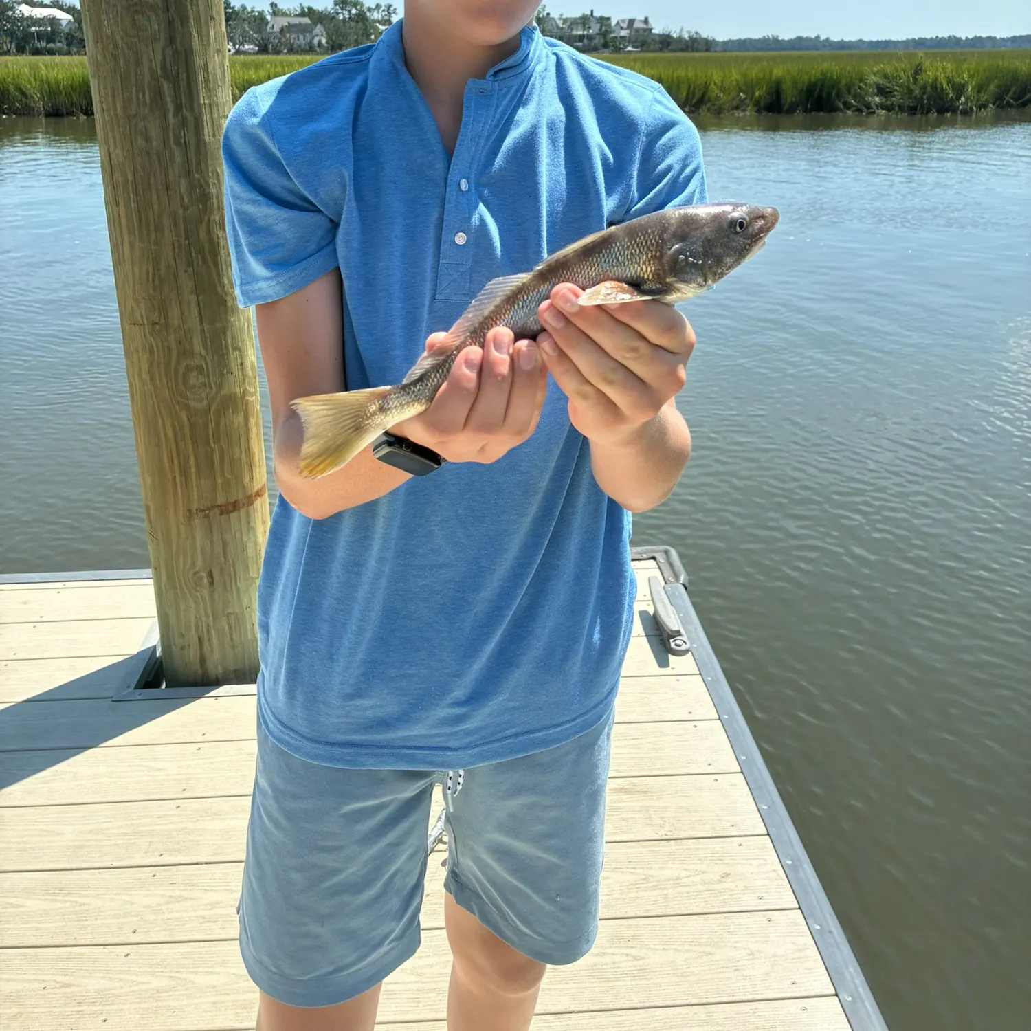 Southern kingcroaker caught on Fishbrain