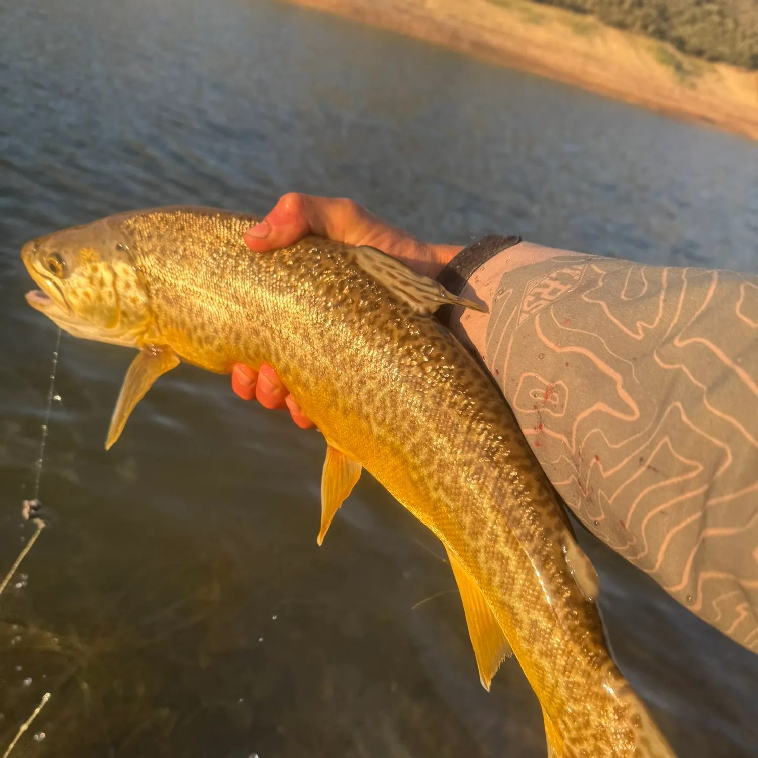 angler catch