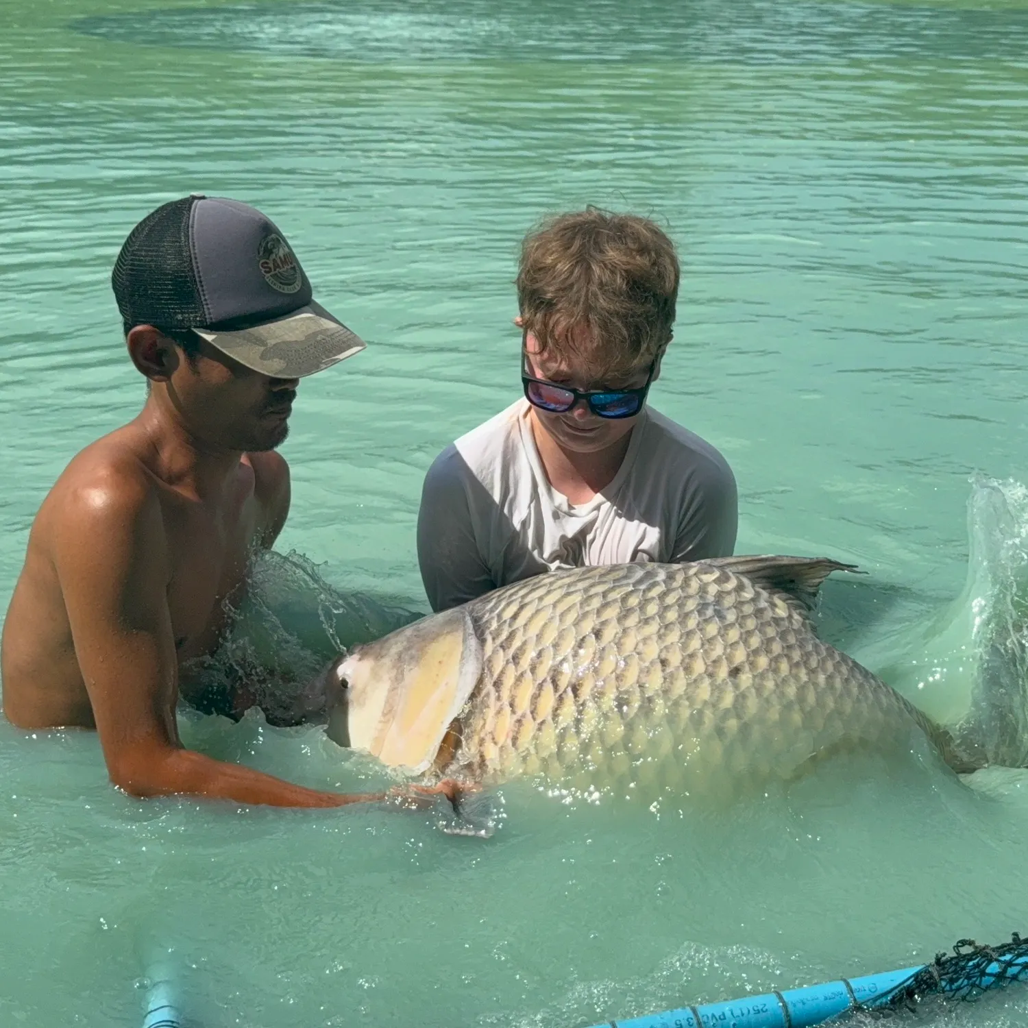 The most recent Siamese carp catches on Fishbrain