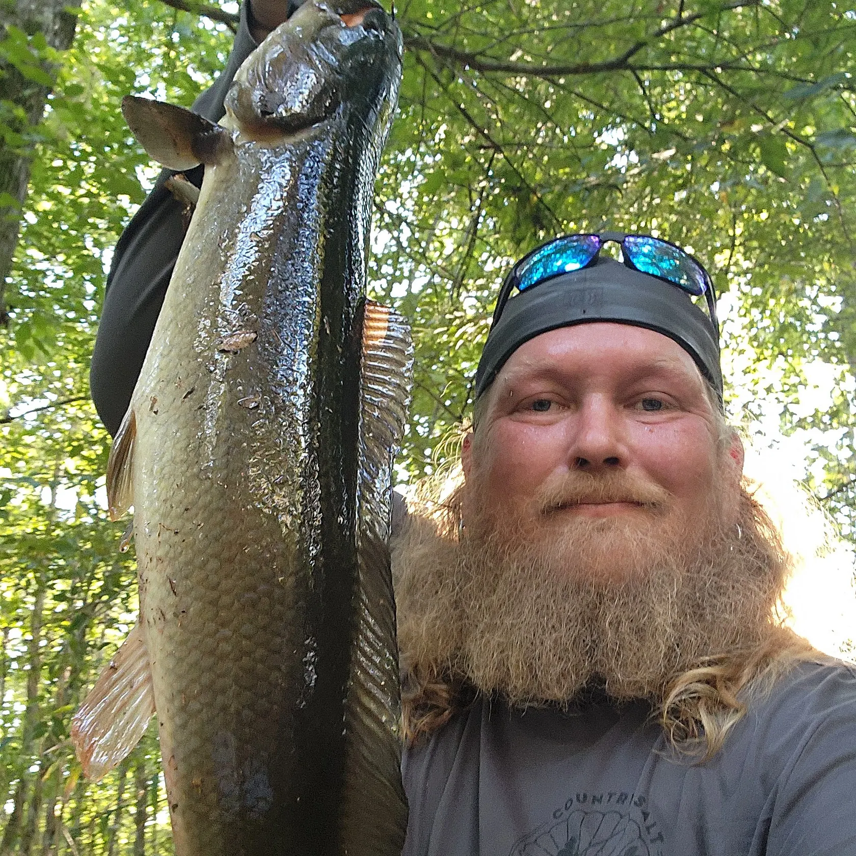 Ruddy bowfin caught on Fishbrain