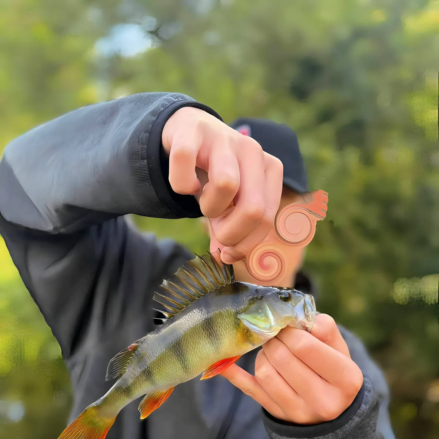 European perch caught on Fishbrain