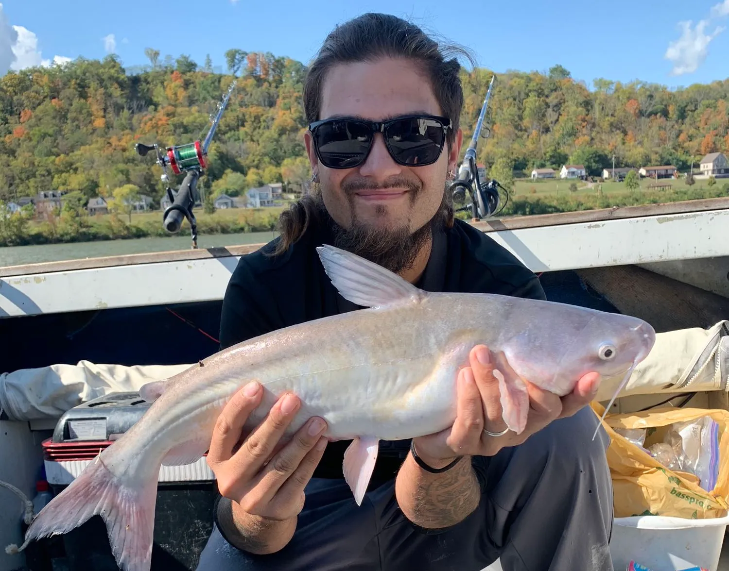 Blue catfish