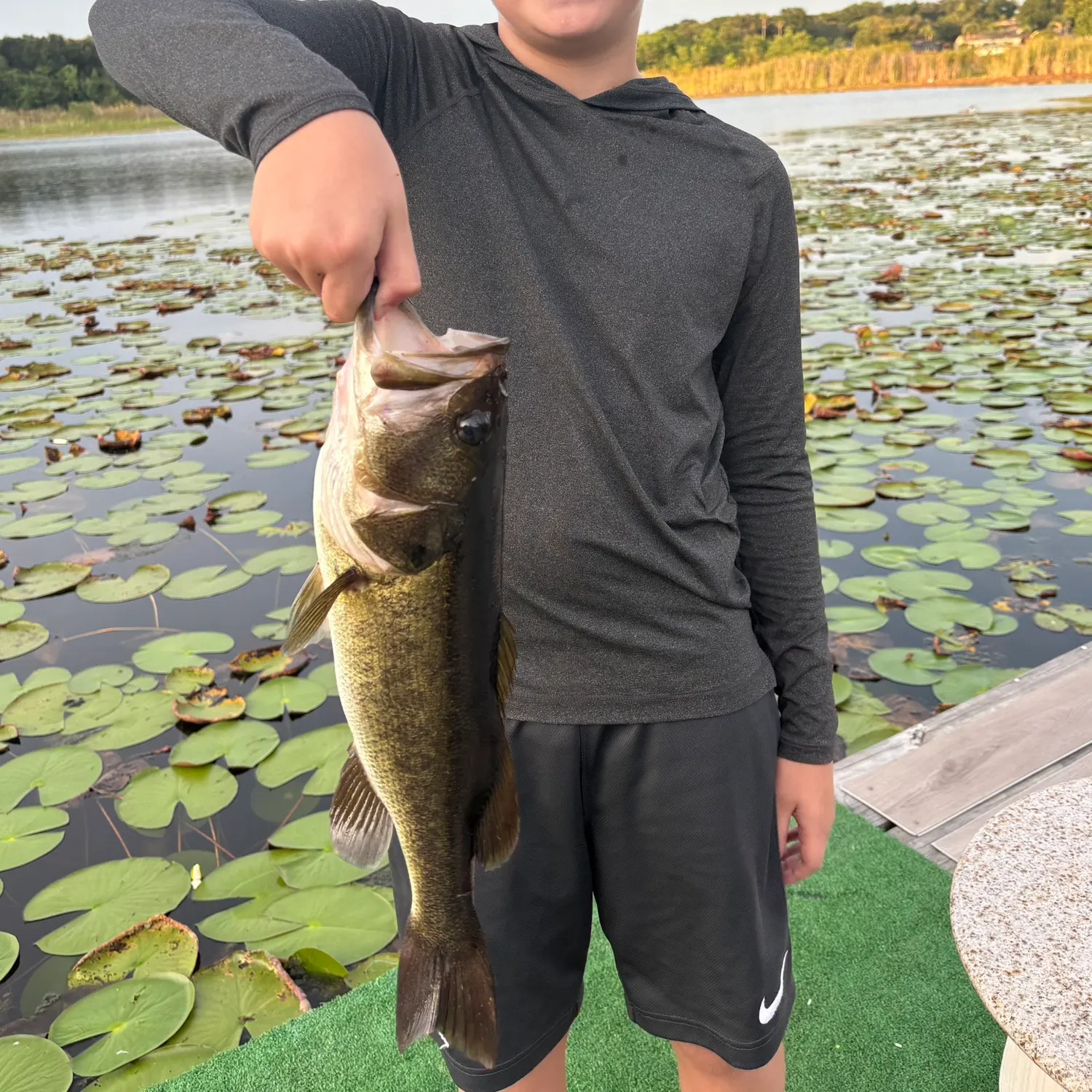 Largemouth bass caught on Fishbrain