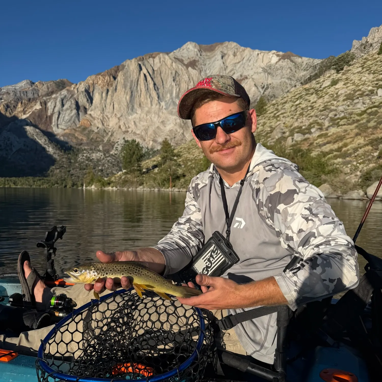 Brown trout caught on Fishbrain