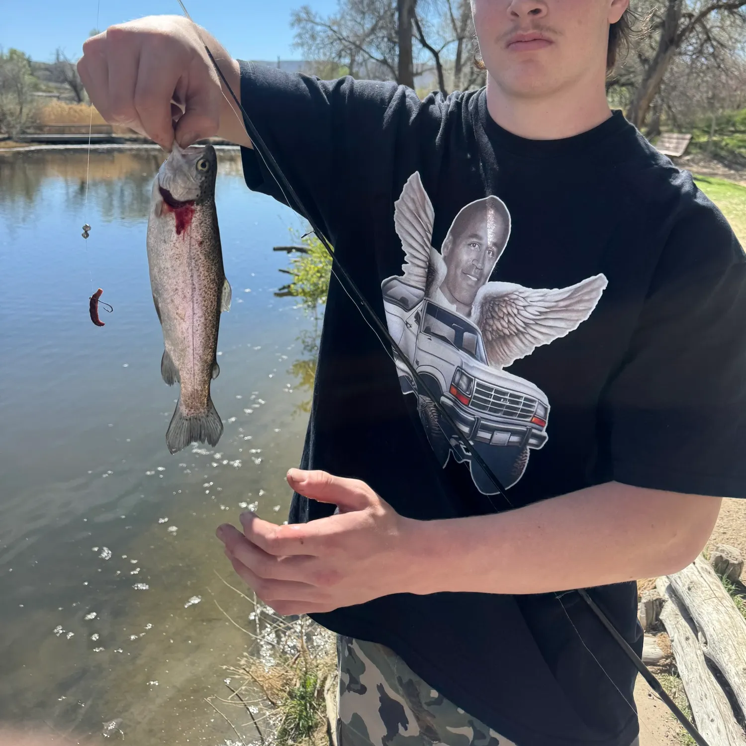 recently logged catches