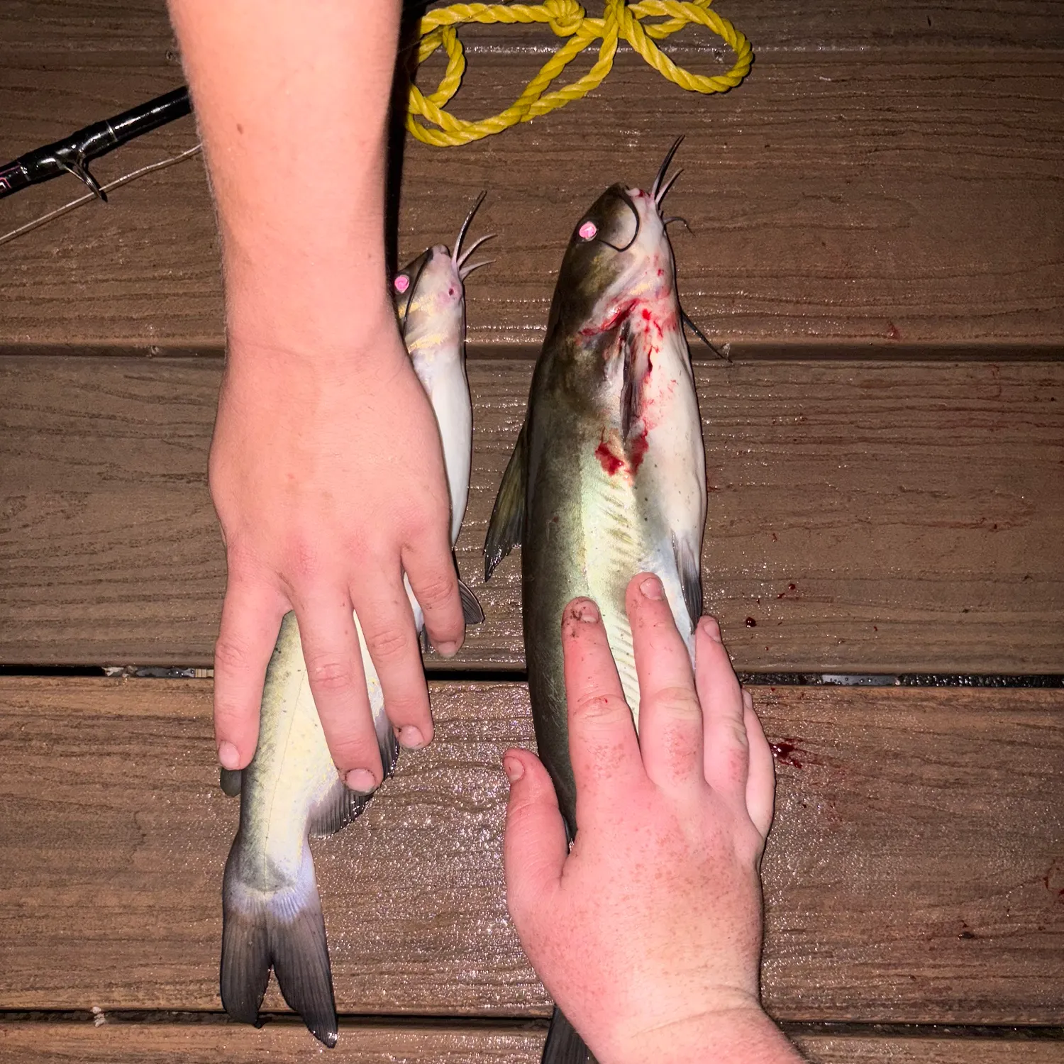 catch