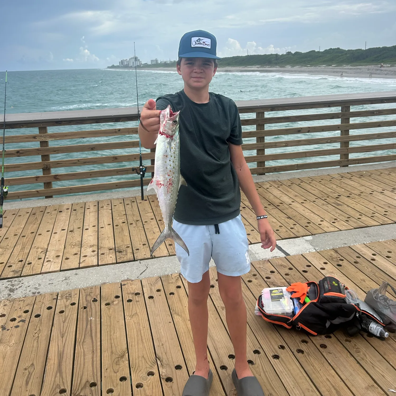 The most recent Spanish mackerel catches on Fishbrain